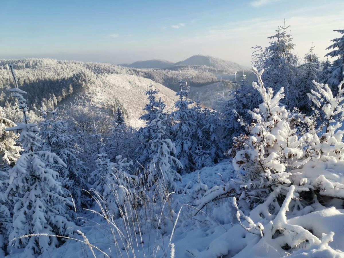 Osrodek Wypoczynkowy Radosno Hotel Sokolowsko Kültér fotó