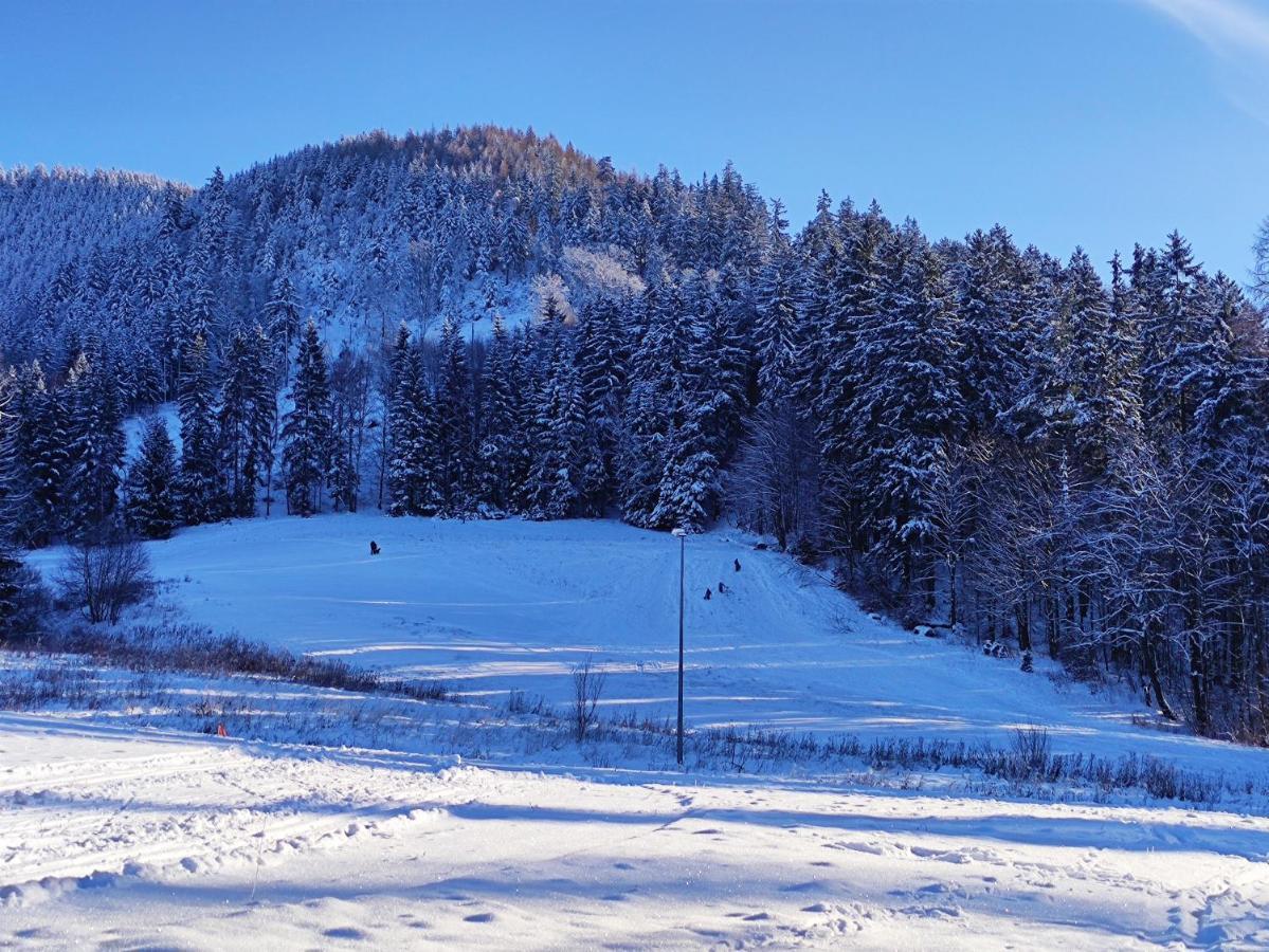 Osrodek Wypoczynkowy Radosno Hotel Sokolowsko Kültér fotó