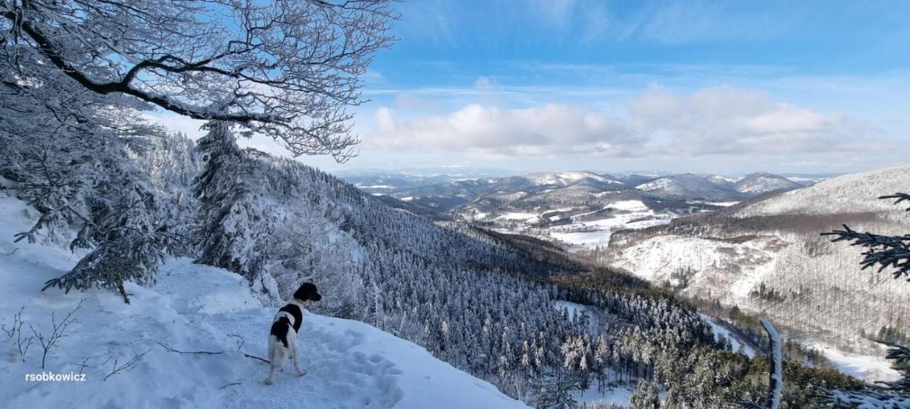 Osrodek Wypoczynkowy Radosno Hotel Sokolowsko Kültér fotó